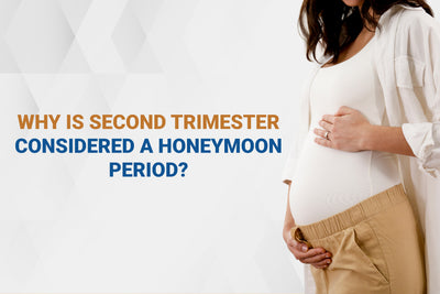 Why is the Second Trimester Considered A Honeymoon Period?